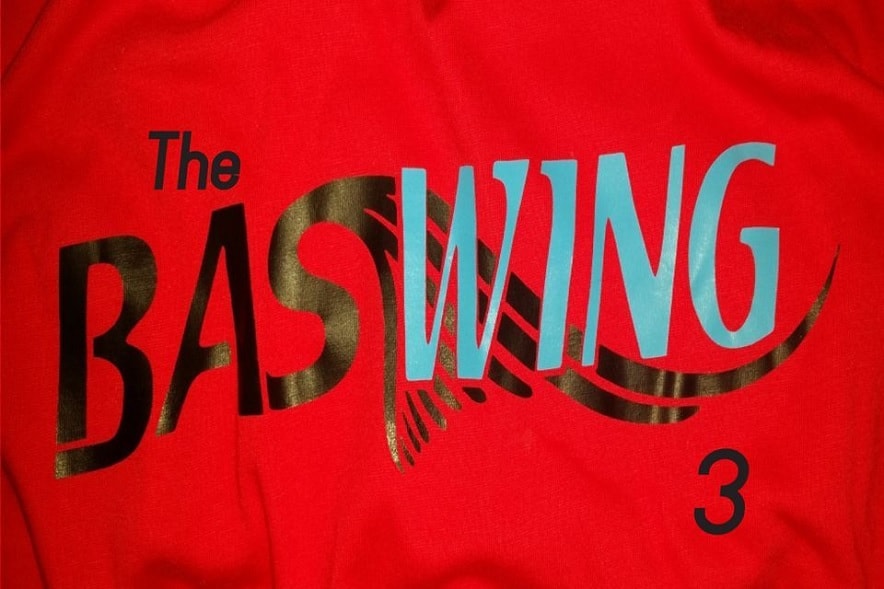 The Baswing 3